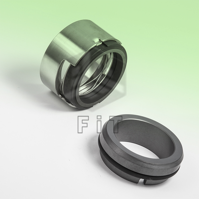 Wellenfeder Mechanische Dichtungen FTM7N